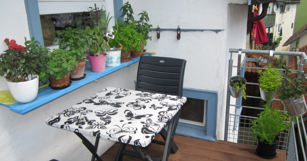 Gärtnern auf dem Balkon Miris Welt