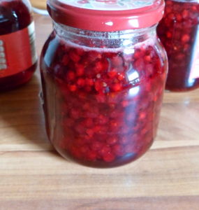 Alte Rezepte Schütteljohannisbeeren