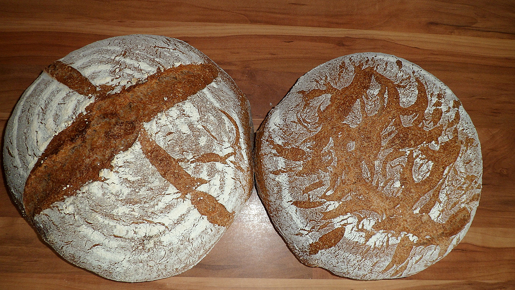 Schwäbisches Bauernbrot als Vollkorn-Bauernbrot - Miris Welt