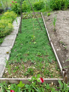 Selbstversorgergarten