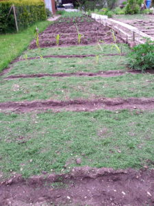 Selbstversorgergarten