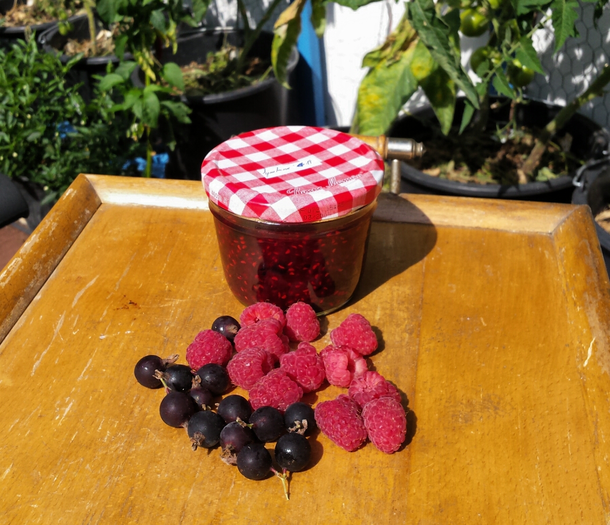 Jostabeeren Himbeeren Marmelade