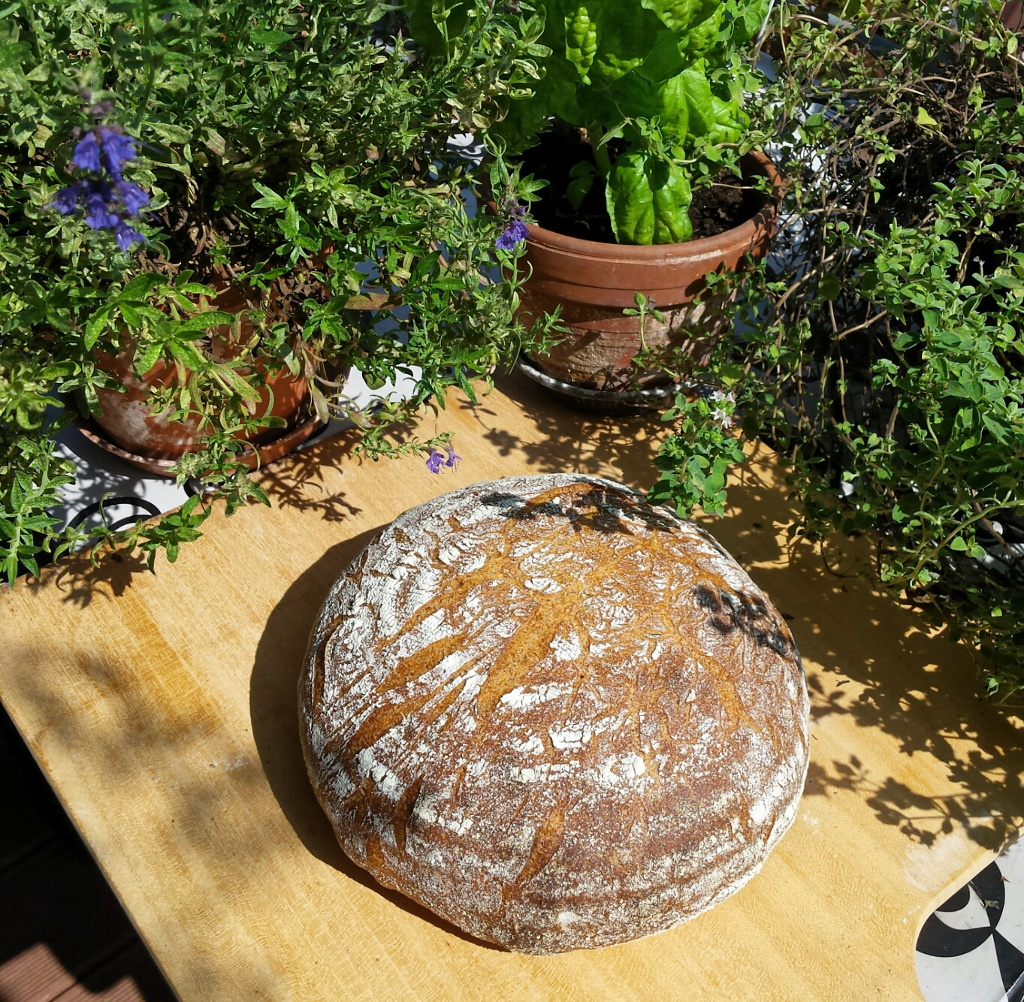 Kräuterbrot mit Sauerteig ohne Hefe