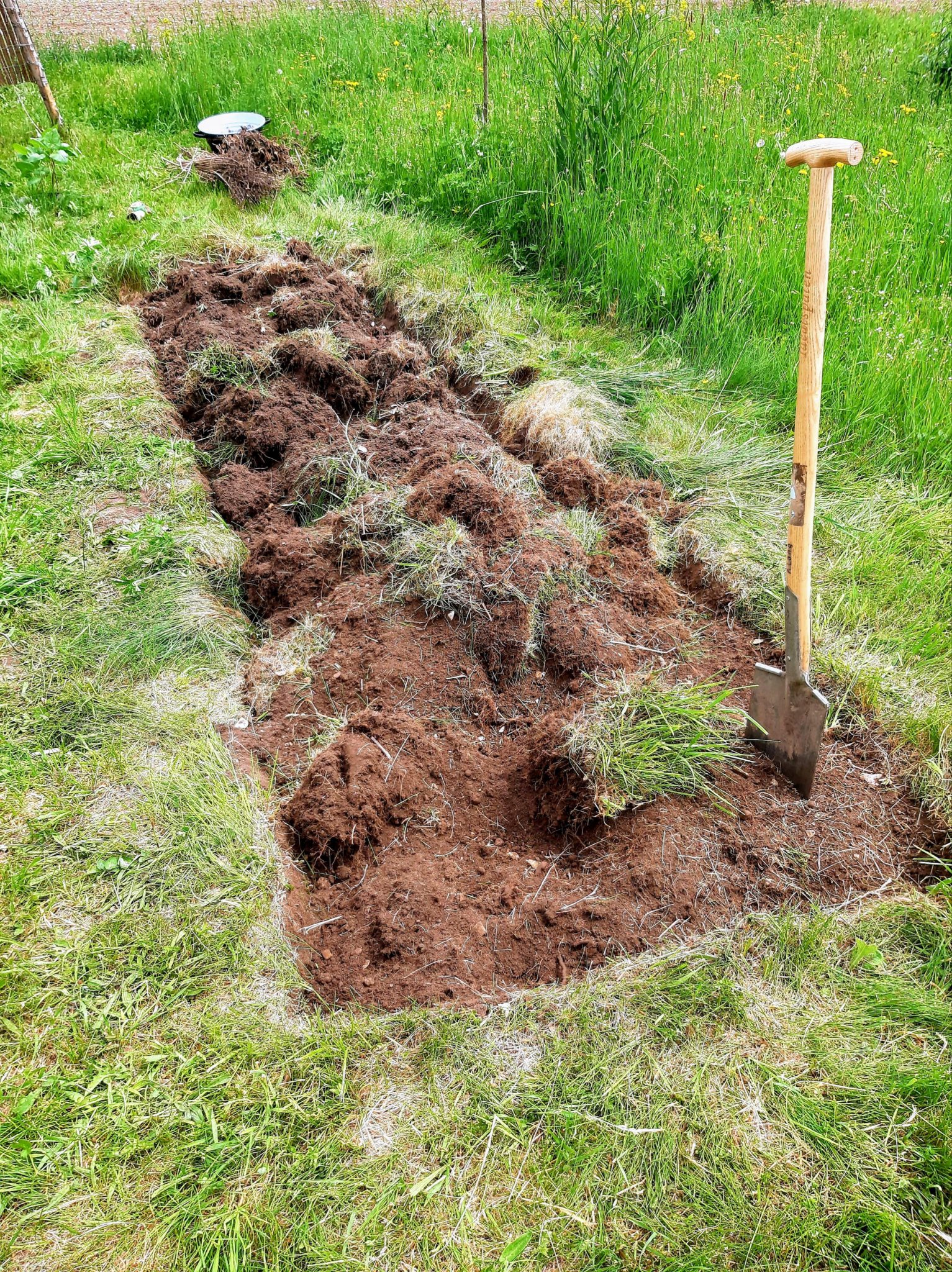 Neues Beet schnell anlegen zusätzliche Anbaufläche Miris Welt