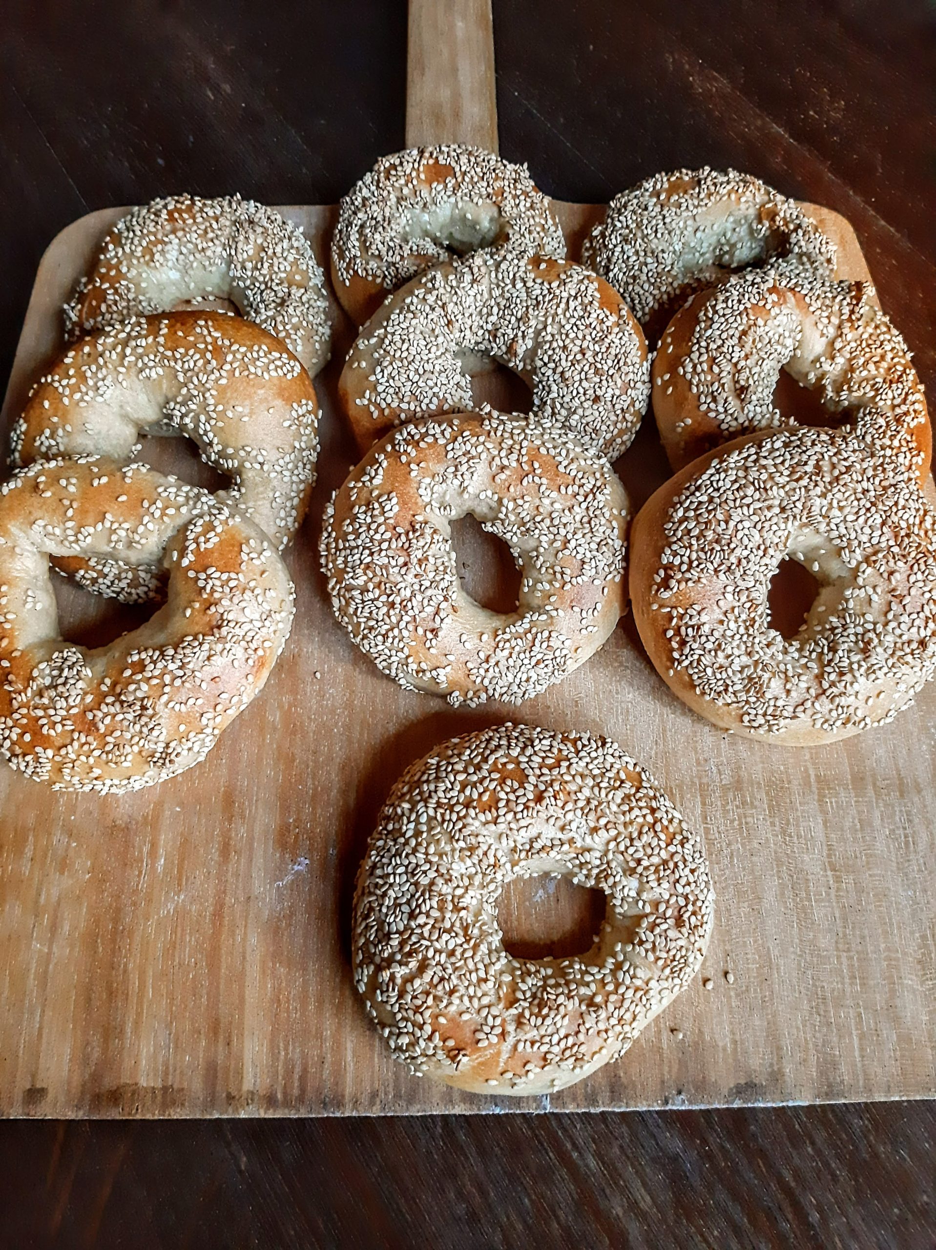 Fertige Sesambagels