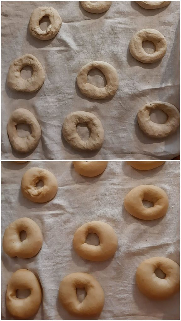 Bagelteiglinge vor und nach der Gare