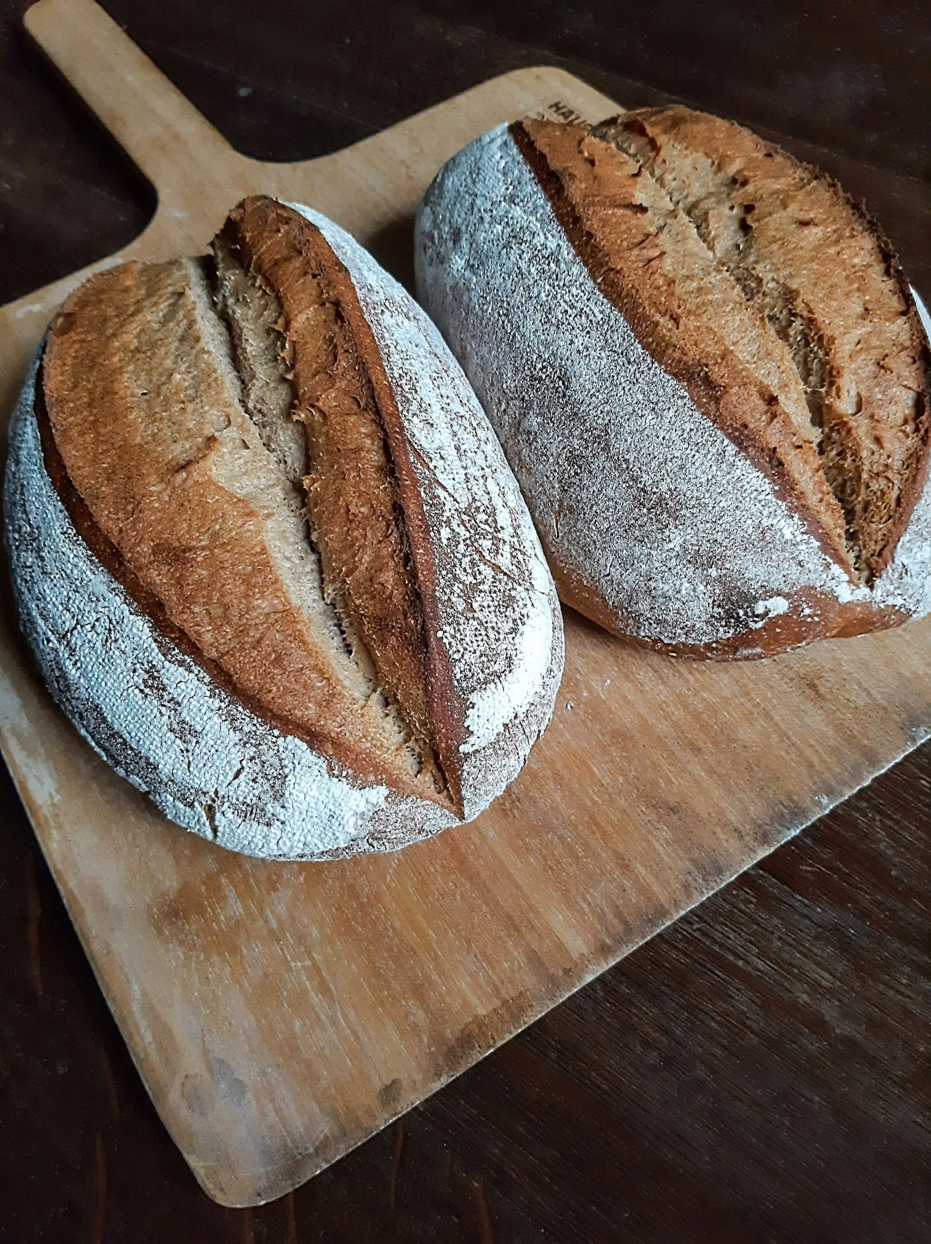 Dinkelmischbrot mit Most - Miris Welt