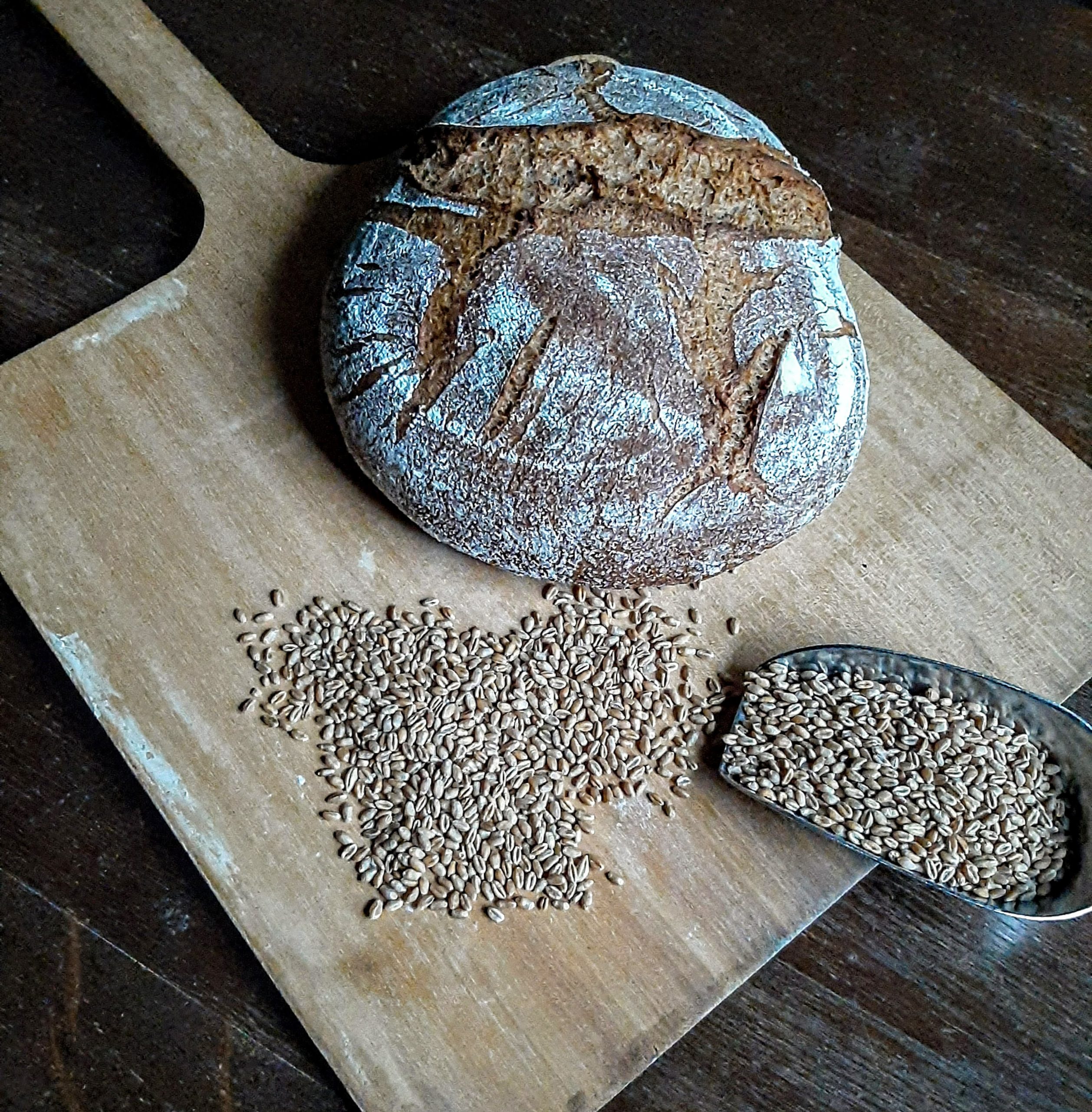 Vollkorn Sauerteigbrot