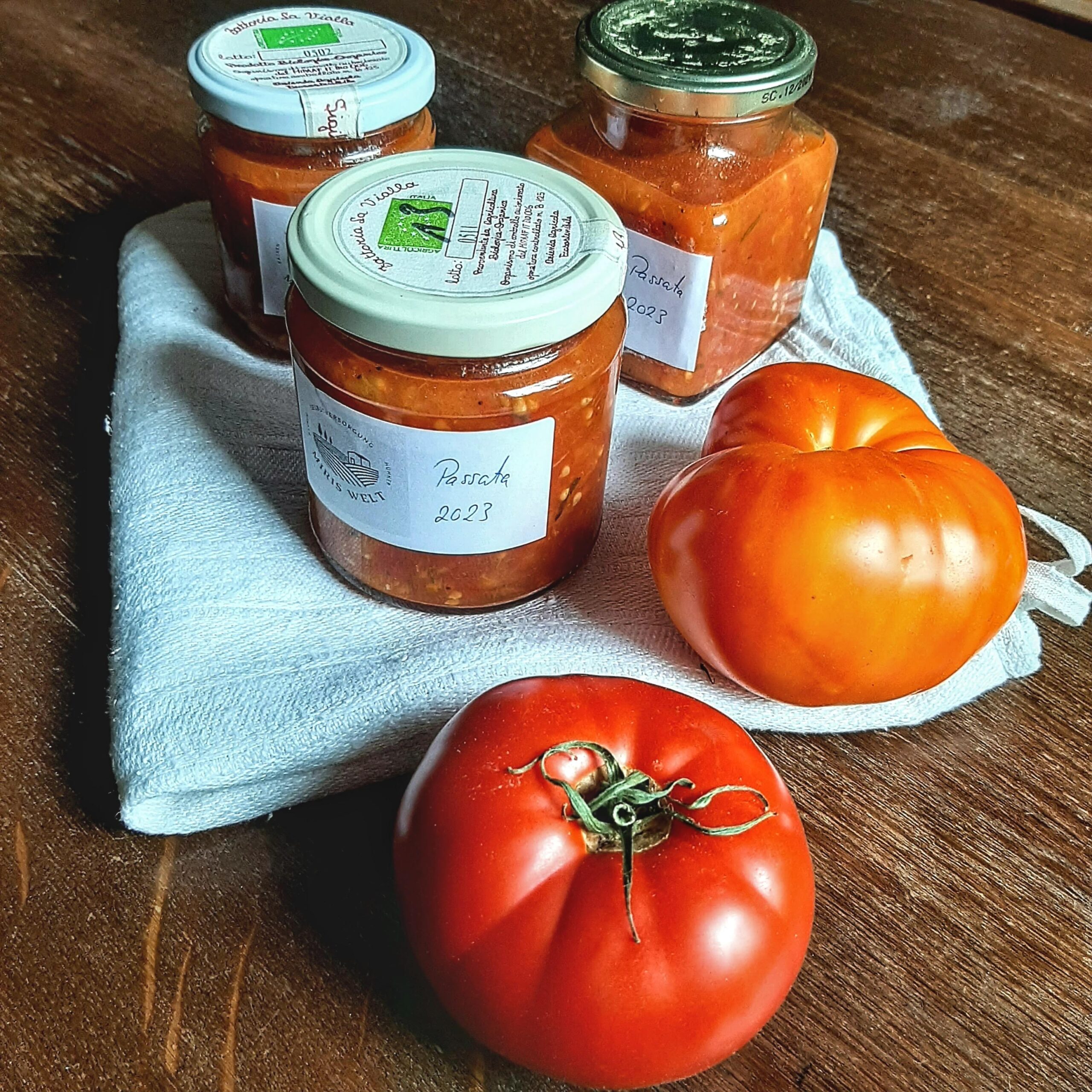 Tomatensauce aus ofengerösteten Tomaten