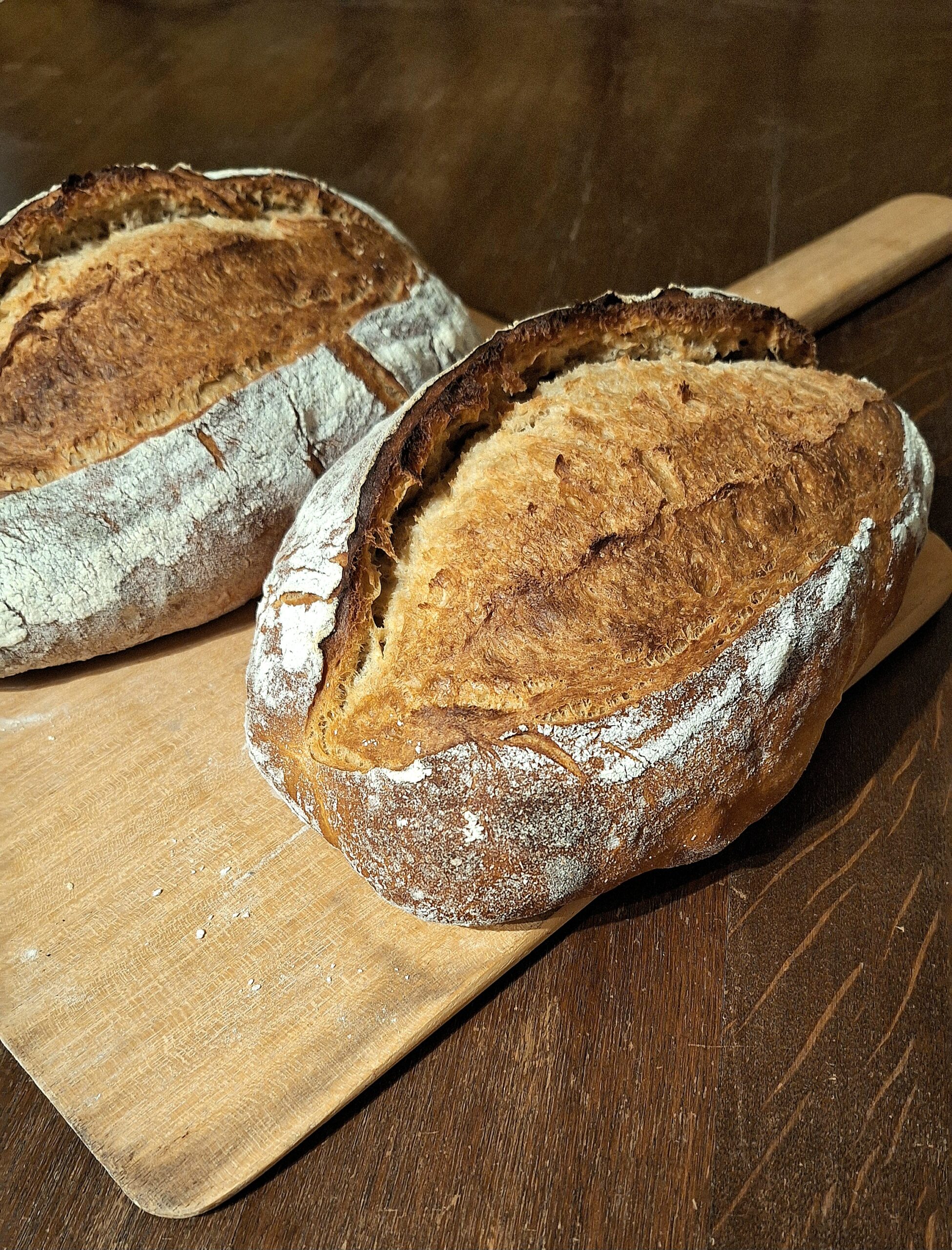 Halbweissbrot