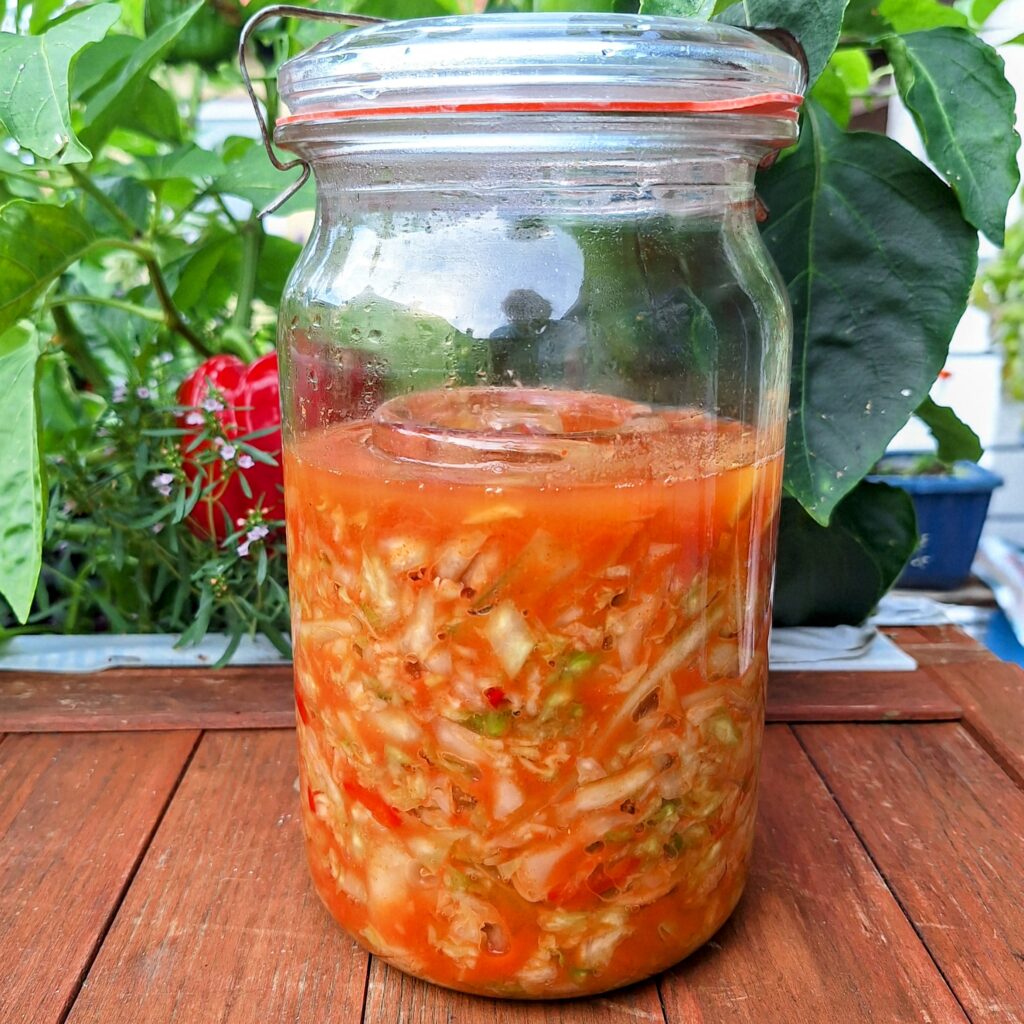 Spitzkohl fermentieren