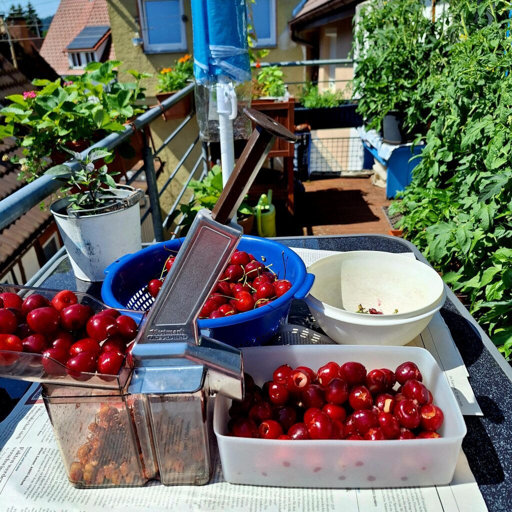 Süßkirschen entsteinen